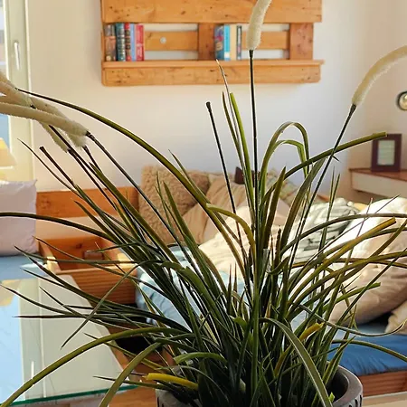 公寓 Geibel-haus Horizont Bis 10 Personen *